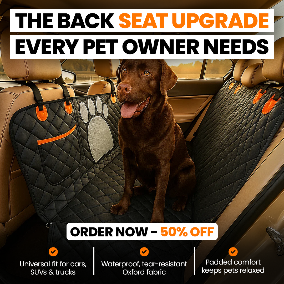 Tough Paw Car Pen (+FREE Bed)