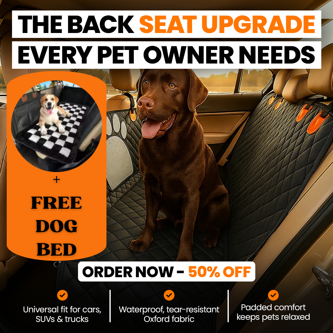 Tough Paw Car Pen (+FREE Bed)